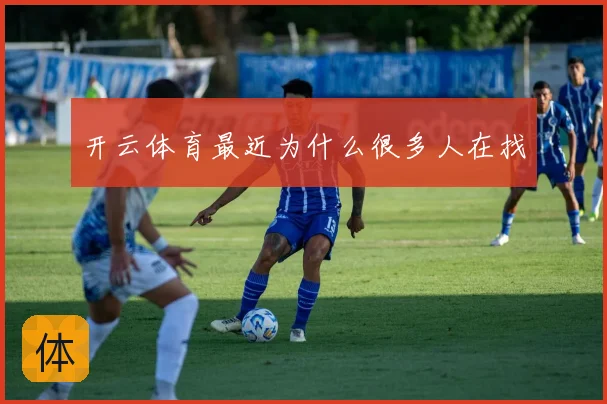 开云体育最近为什么很多人在找