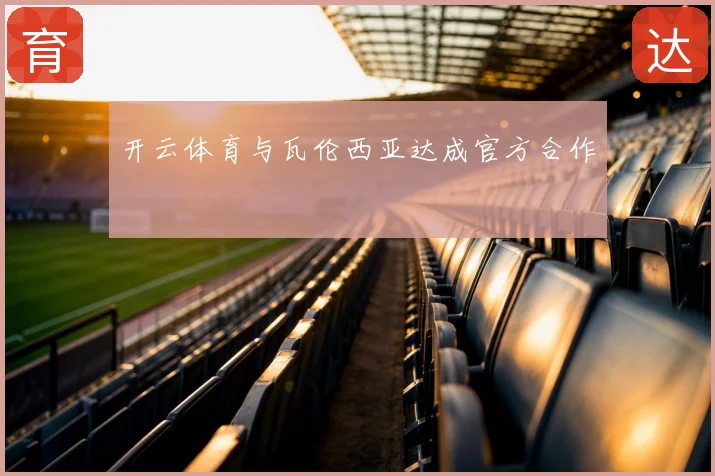 开云体育与瓦伦西亚达成官方合作